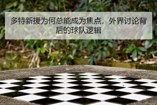 多特新援为何总能成为焦点，外界讨论背后的球队逻辑
